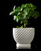 Connect textured indoor plant pot styled with a plant