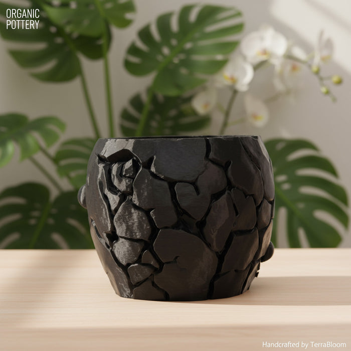 3D Printed "Cragma" Planter – Modern Sculptural Pot for Indoor Plants