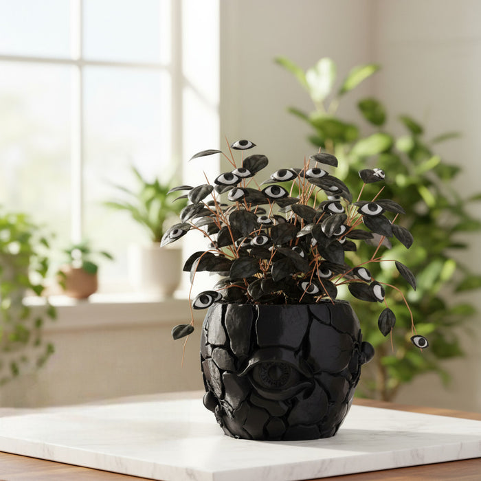 3D Printed "Cragma" Planter – Modern Sculptural Pot for Indoor Plants