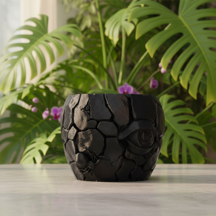 3D Printed "Cragma" Planter – Modern Sculptural Pot for Indoor Plants