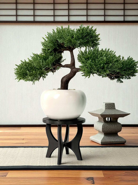 Pot Stand "CurveLift"  | Multiple Sizes & Colors | 3D Printed Flower Pot Riser for Indoor Planters