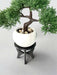 Pot Stand "CurveLift"  | Multiple Sizes & Colors | 3D Printed Flower Pot Riser for Indoor Planters
