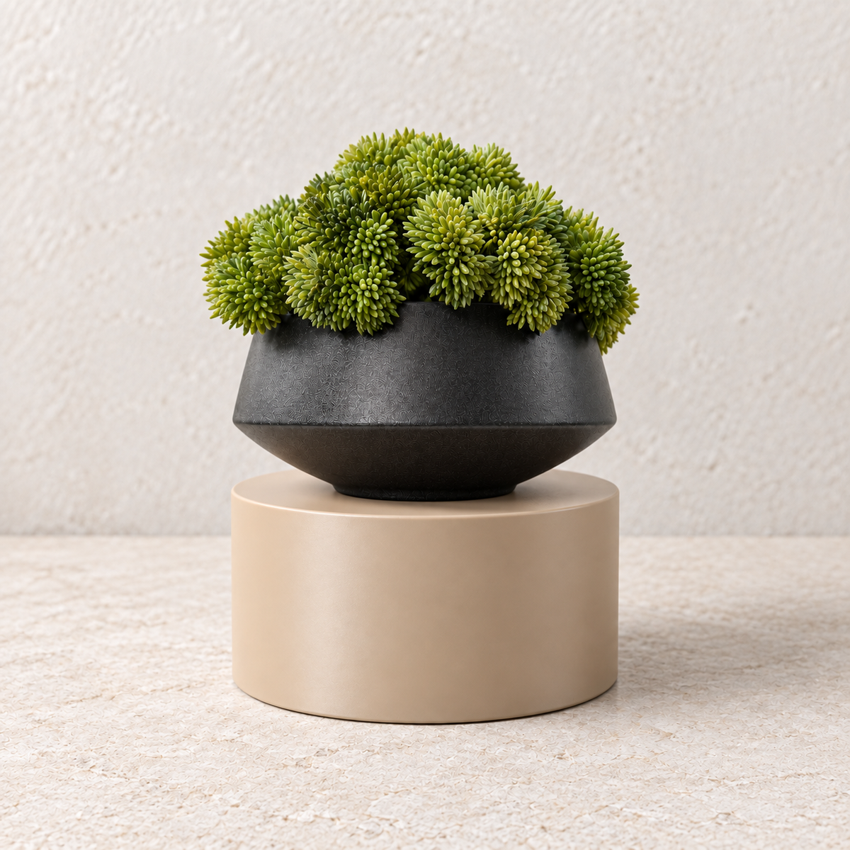 Beige cylinder plant stand supporting a black planter with green foliage on a light stone surface.