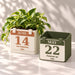 Two personalized calendar planters in cream and green with different dates; one holds a pothos plant.