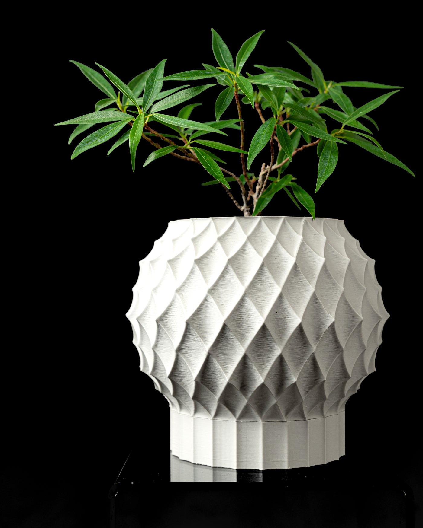 Diamond rounded faceted planter with plant, front product view