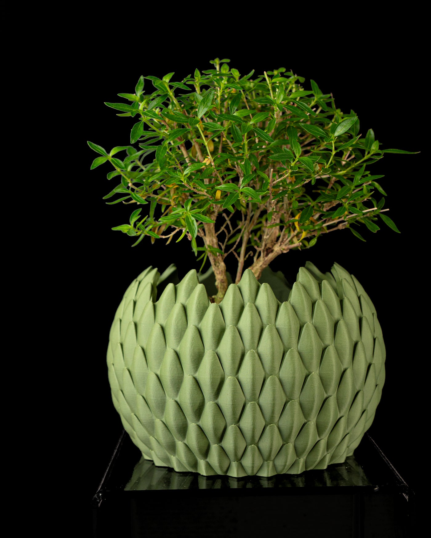 Dragon Scale scale texture indoor planter, product view 3
