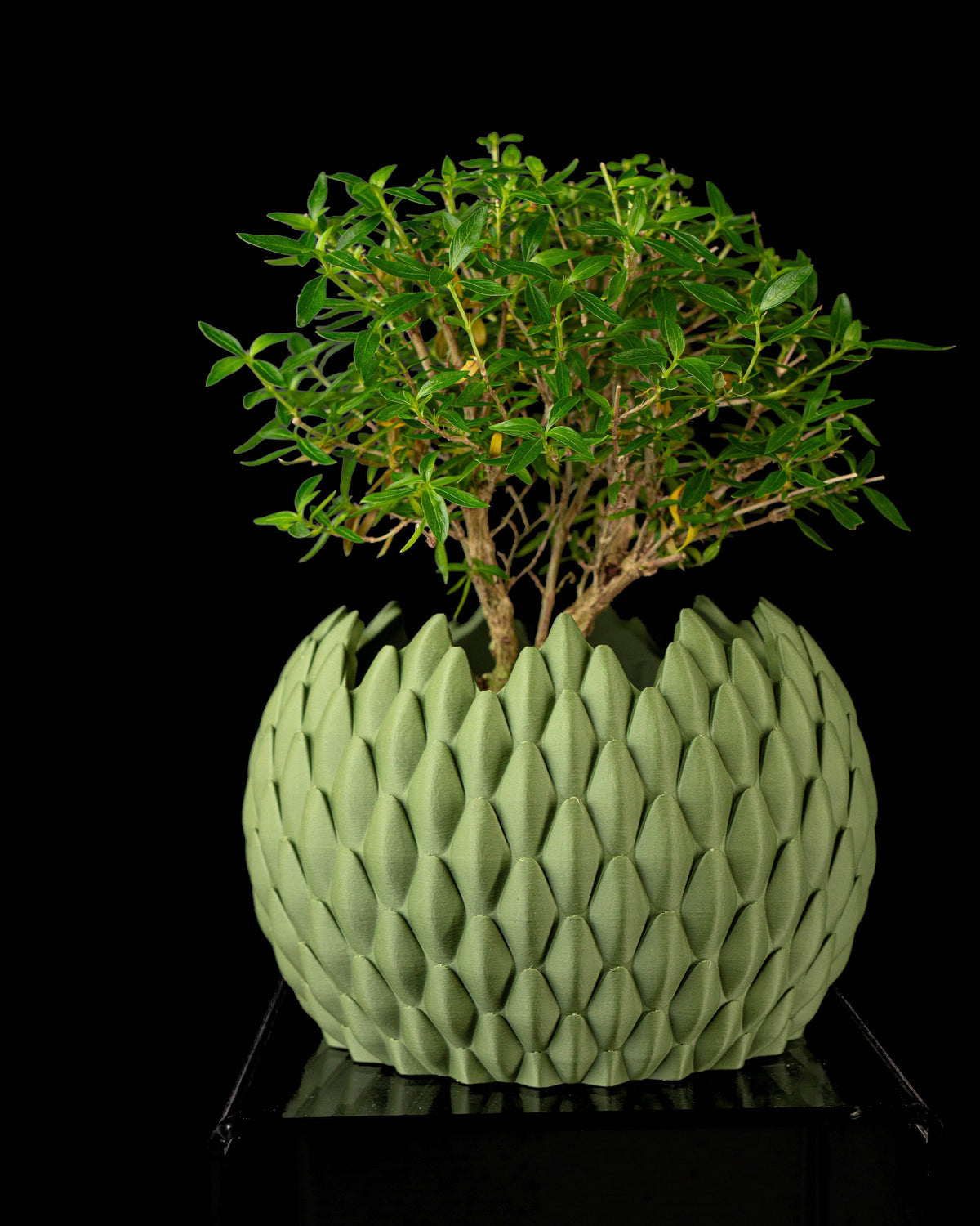 Dragon Scale scale texture indoor planter, product view 3