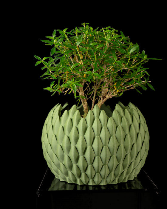 Planter "Dragon Scale" | 3D Printed Sculptural Flower Pot