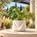 Drape outdoor ASA planter in Natural with green foliage, centered on a sunlit stone patio table.