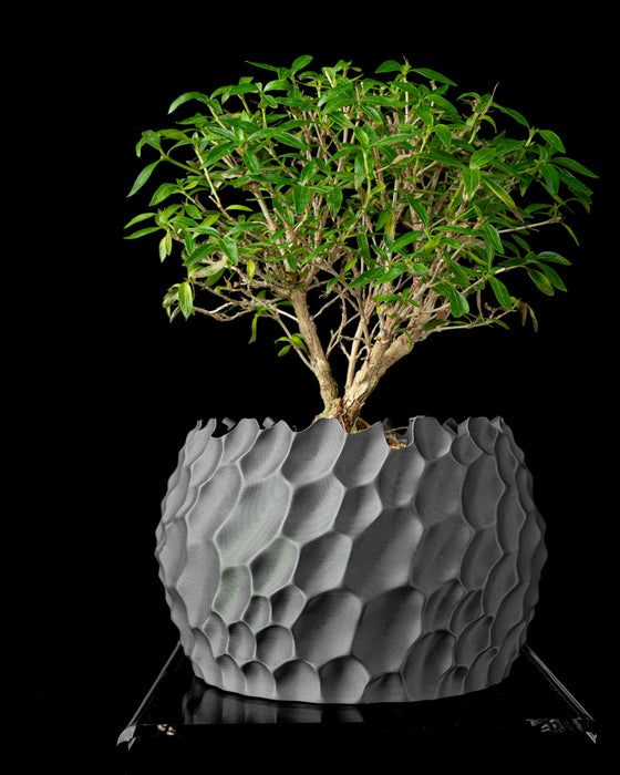 Dune low-profile textured planter styled with plant