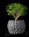 Dune low-profile textured planter styled with plant