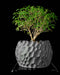 Dune low-profile textured planter styled with plant