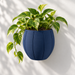Navy blue Duoro round wall planter with paired vertical grooves and trailing golden pothos on a light wall.