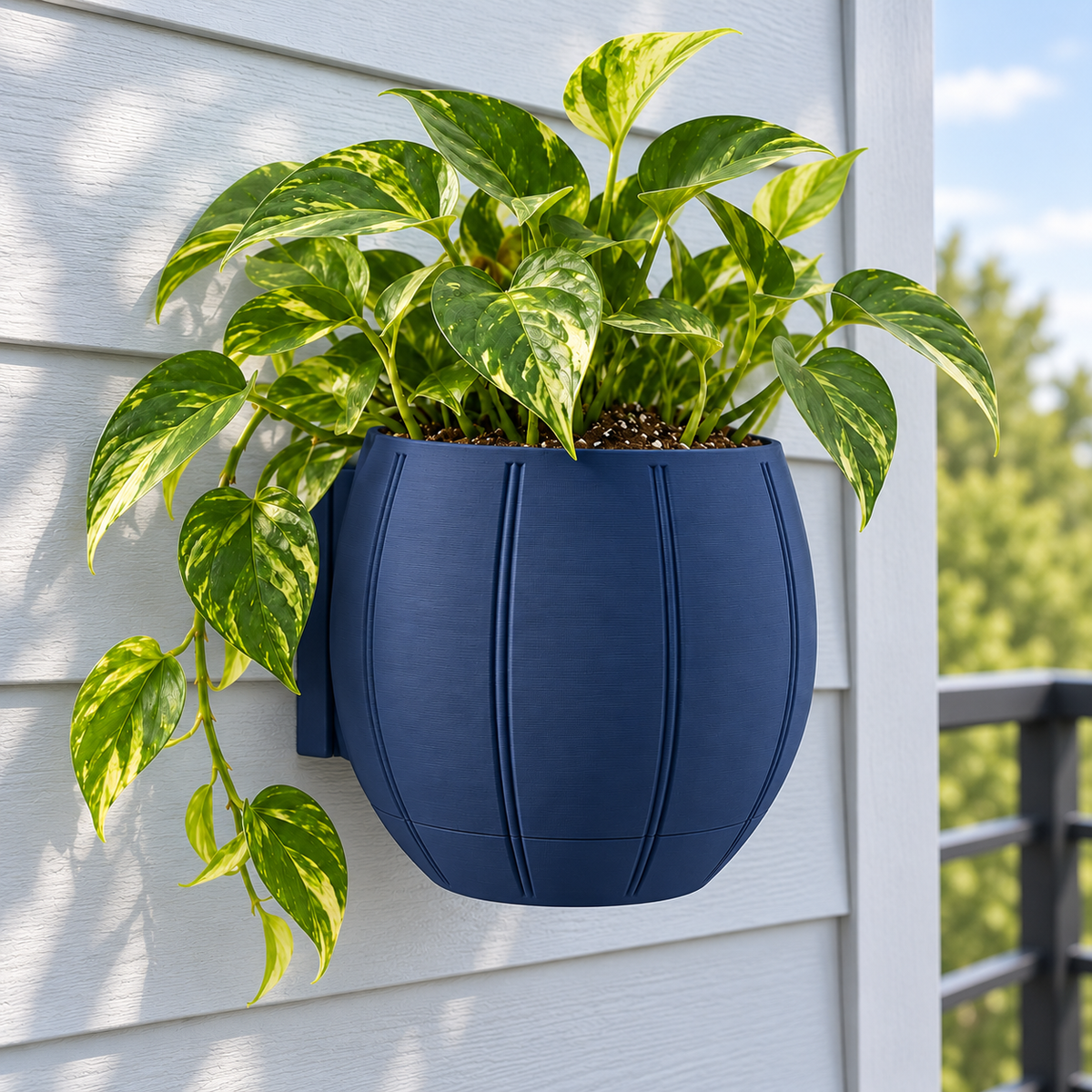 Close view of the navy Duoro wall planter with golden pothos outdoors on pale siding beside a balcony railing.