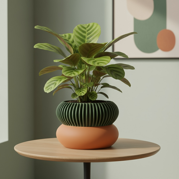 3D Printed “Elomi” Planter – Sculptural Pot with Ribbed Upper Design, Single or Two-Color Option