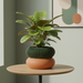 3D Printed “Elomi” Planter – Sculptural Pot with Ribbed Upper Design, Single or Two-Color Option
