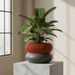 3D Printed “Elomi” Planter – Sculptural Pot with Ribbed Upper Design, Single or Two-Color Option