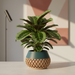 3D printed geometric planter, modern textured pot, designer plant pot – “Elson”