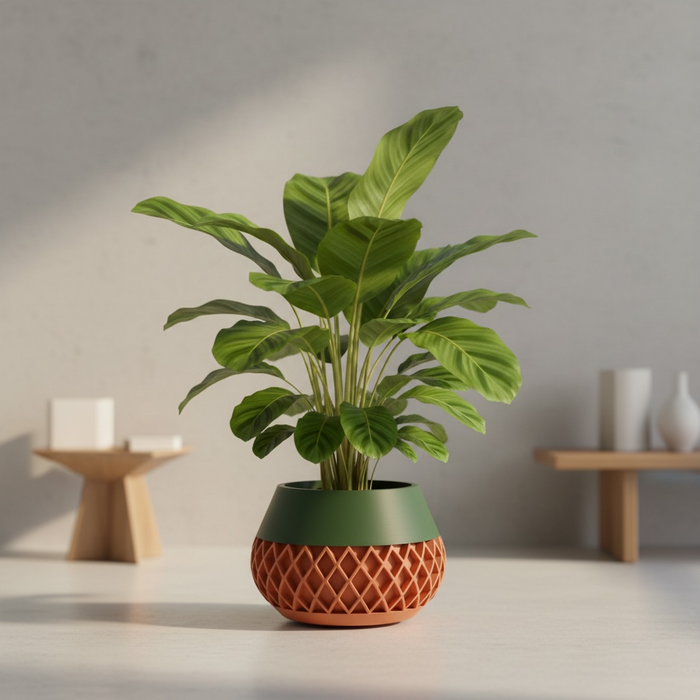 3D printed geometric planter, modern textured pot, designer plant pot – “Elson”