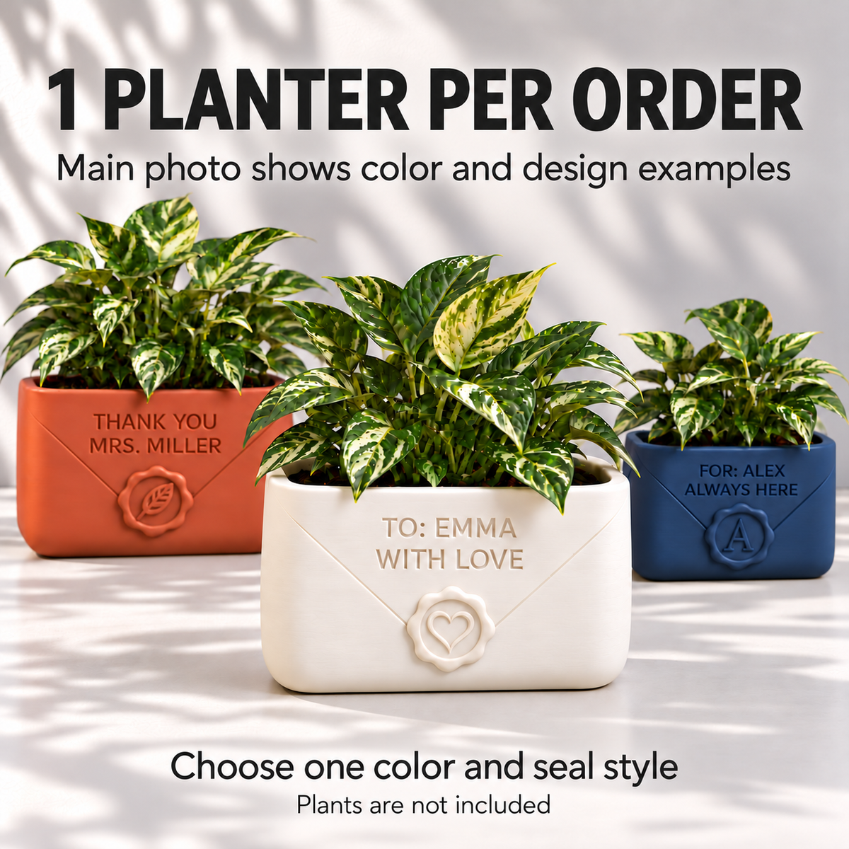 One planter per order guide: the grouped main photo shows color and design examples; plants are not included.