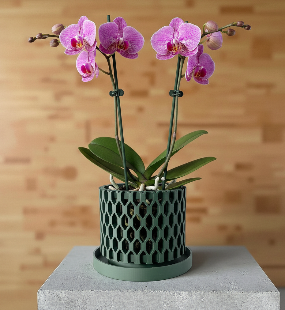 Erna geometric openwork ventilated orchid pot, front view