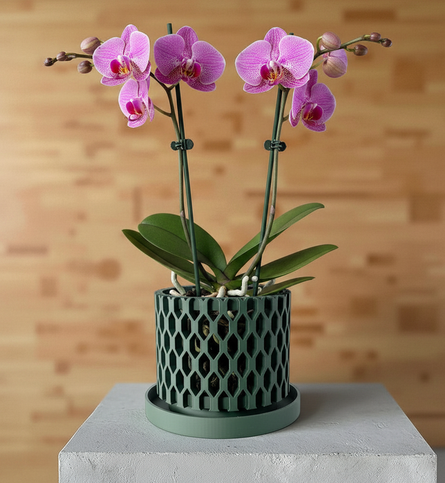 Hexagon Orchid Pot "Erna" • 3D Printed Honeycomb Planter with Drainage Saucer