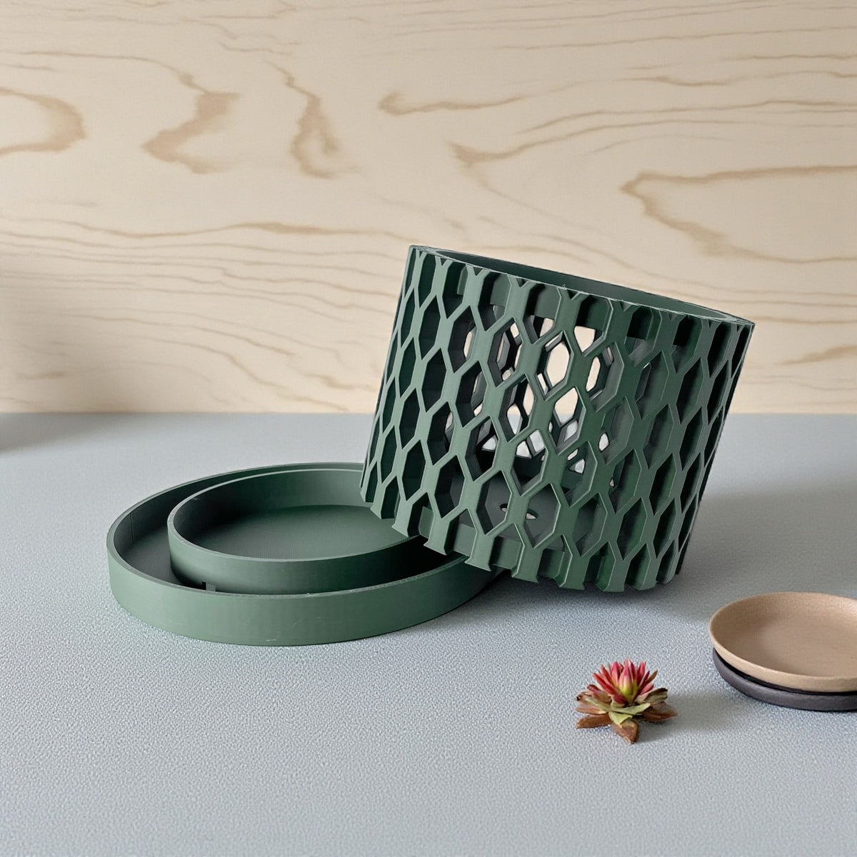 Erna geometric openwork ventilated orchid pot, top opening view