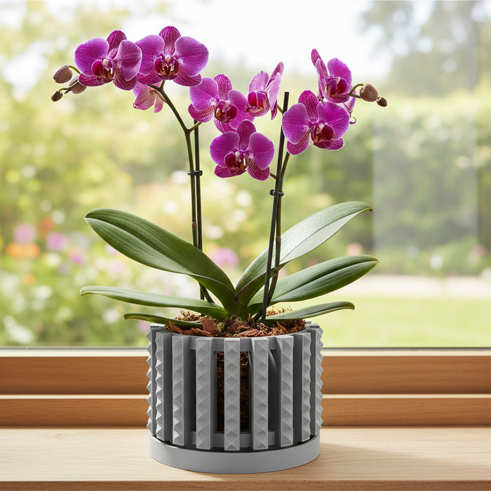 Orchid Pot "Farne" eco-friendly, drainage |  color & size options