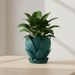 3D Printed Petal Planter | Floral Design Succulent Pot | Nature Inspired Planter — "Florenn"· by Viviero3D