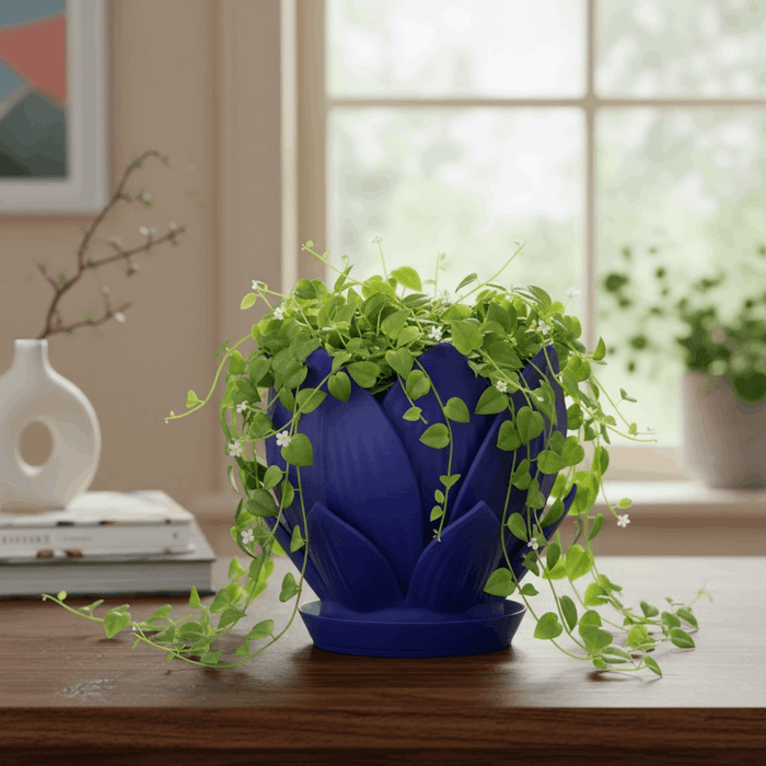 3D Printed Petal Planter | Floral Design Succulent Pot | Nature Inspired Planter — "Florenn"· by Viviero3D