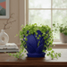 3D Printed Petal Planter | Floral Design Succulent Pot | Nature Inspired Planter — "Florenn"· by Viviero3D