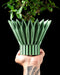 Florix botanical indoor planter with flared petal crown and round planting vessel