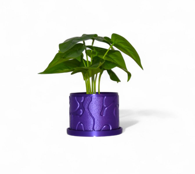 Flow 3D Printed Planter Pot with Saucer – Unique Decorative Plant Pot for Succulents and Houseplants