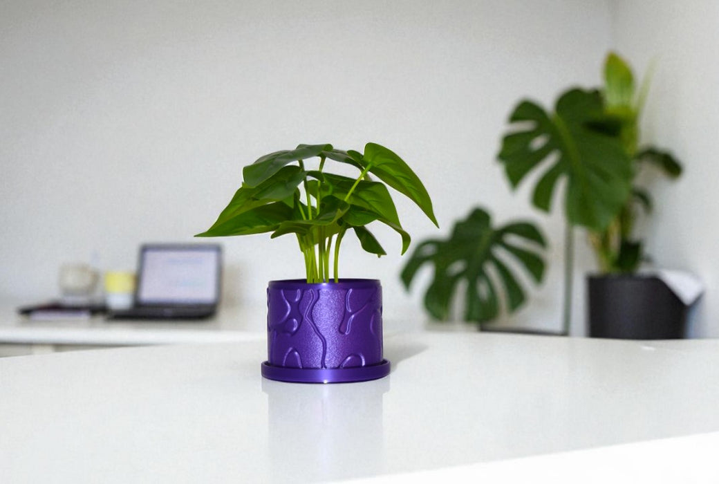 Flow 3D Printed Planter Pot with Saucer – Unique Decorative Plant Pot for Succulents and Houseplants