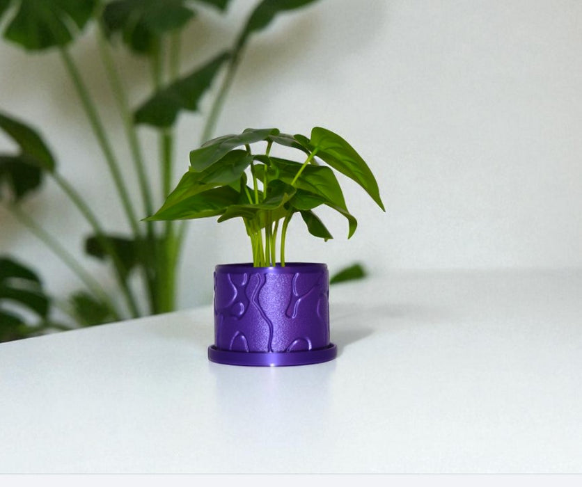 Flow 3D Printed Planter Pot with Saucer – Unique Decorative Plant Pot for Succulents and Houseplants