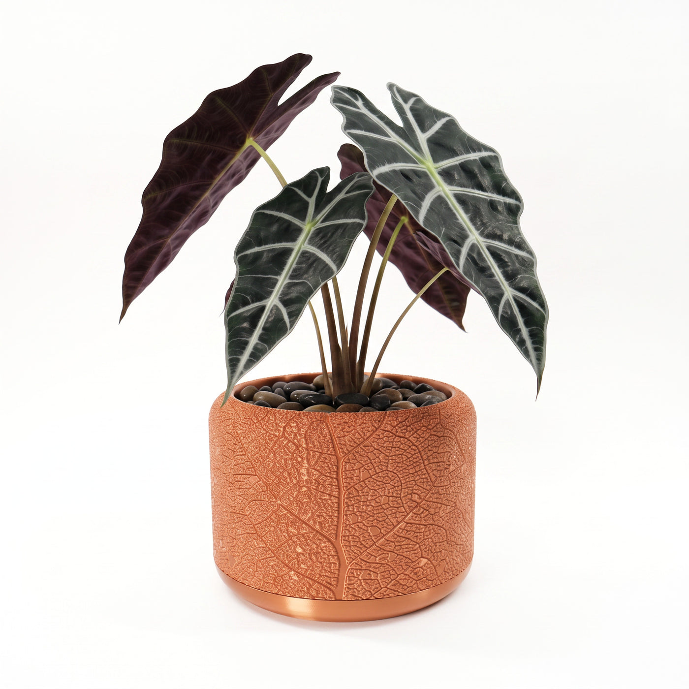 Leaf Vein a raised botanical vein pattern wrapped around a rounded body indoor planter, front view