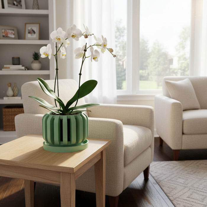 Orchid Pot "Frenor" eco-friendly, drainage |  color & size options