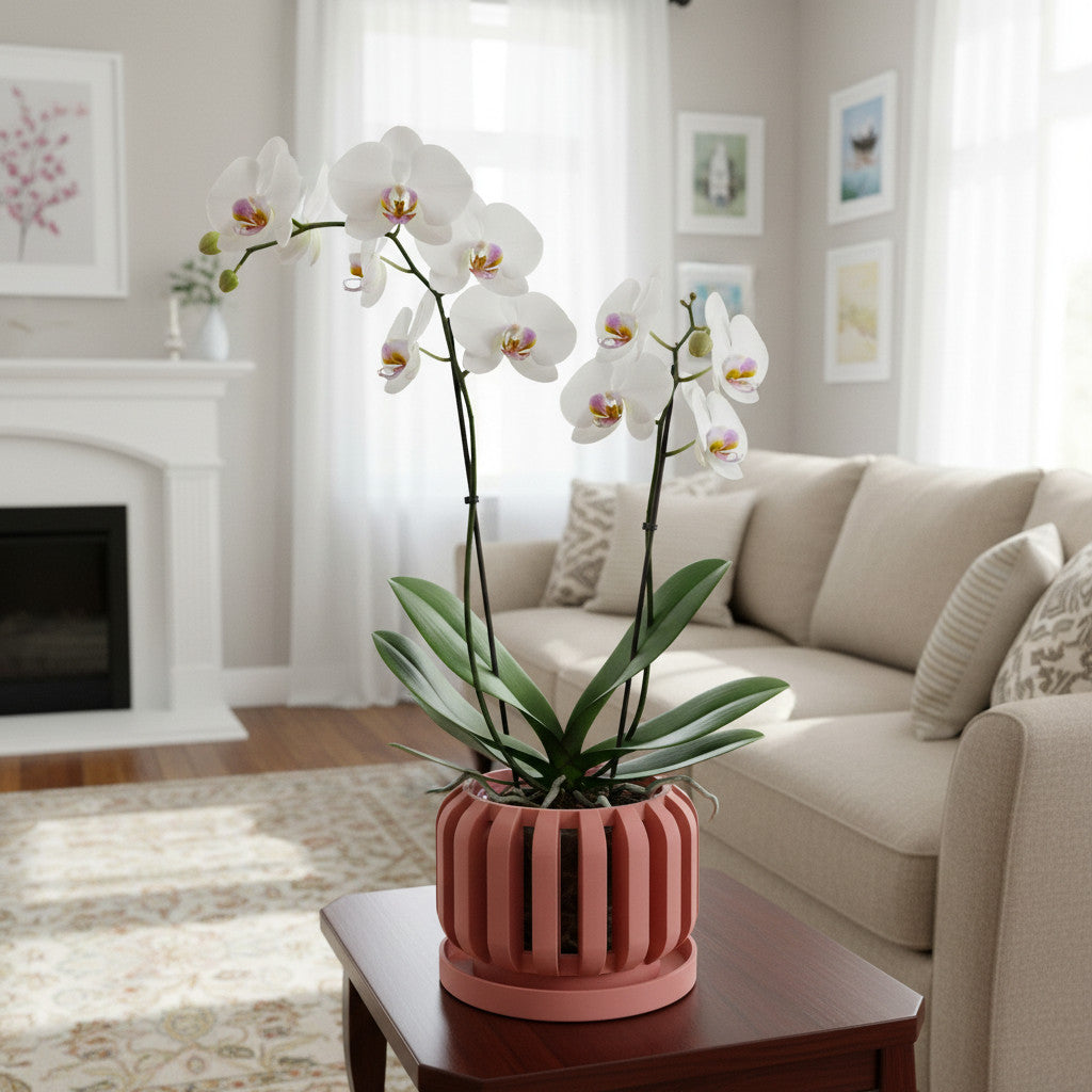 Frenor architectural openwork ventilated orchid pot, top opening view