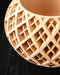 Close-up of Halo planter crossed open lattice shell