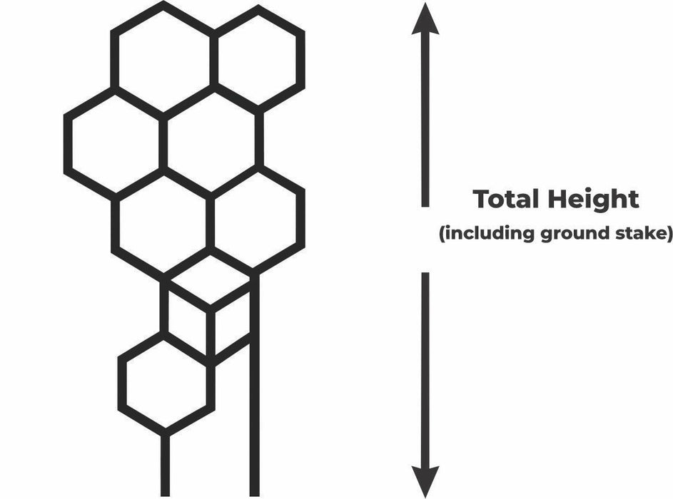 Modern Plant Support Stake "Cluster"