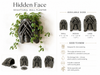 Hidden Face sculptural wall planter size guide with Small Medium Large dimensions, direct planting, no drainage and wall mounting information
