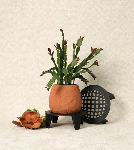 “Grid Base” plant pot stand styled with indoor planter