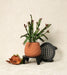 “Grid Base” plant pot stand styled with indoor planter