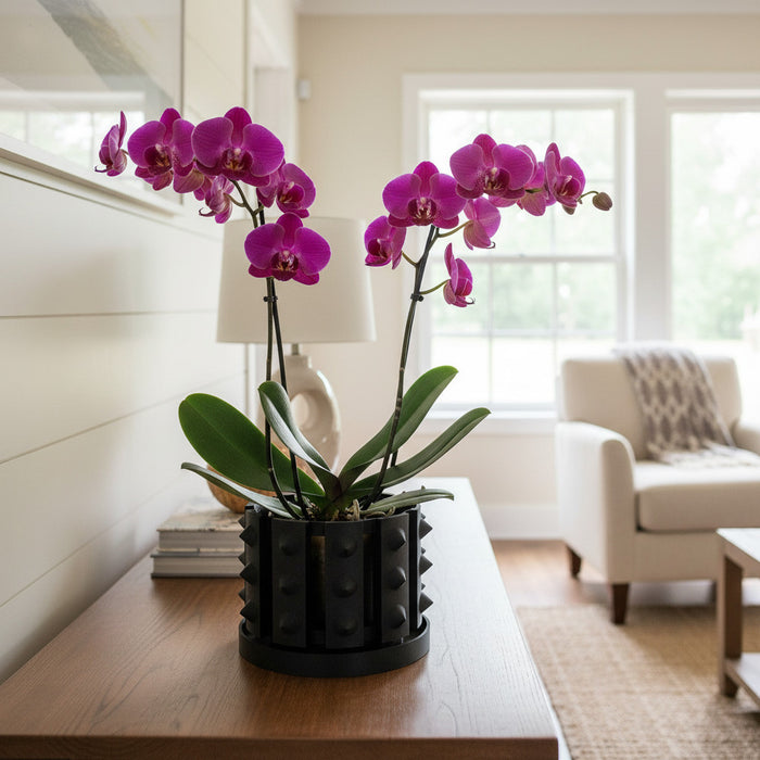 Orchid Pot "Irvox" eco-friendly, drainage |  color & size options