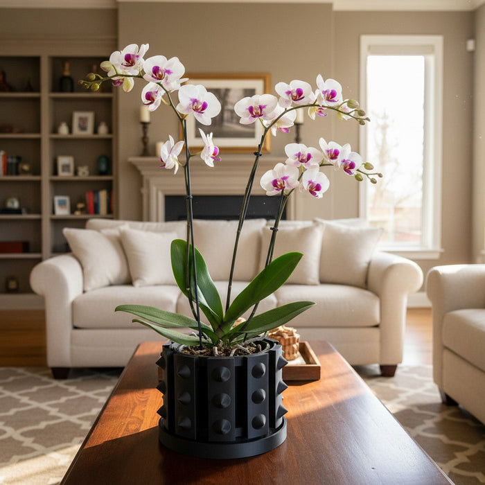 Orchid Pot "Irvox" eco-friendly, drainage |  color & size options