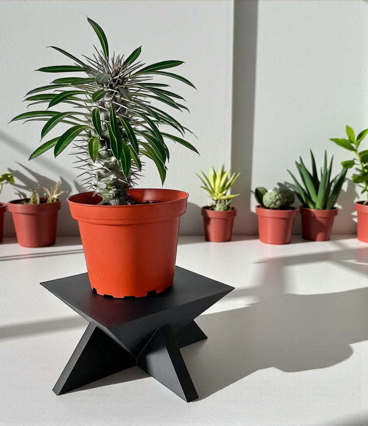 Jones pedestal plant stand for indoor planters