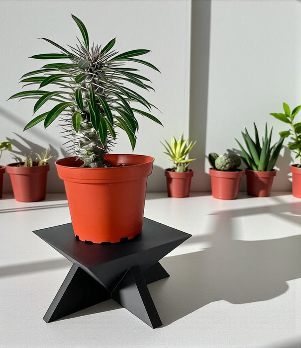 Pedestal Plant Stand "Jones" – Modern 3D Printed Planter Riser, Architectural Display Base for Indoor Pots