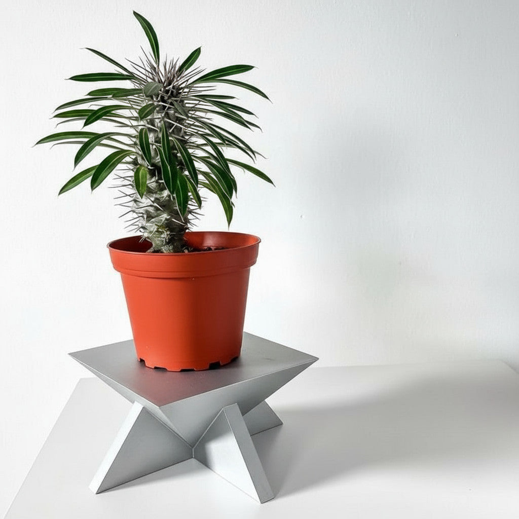 Jones 3D printed plant stand product view