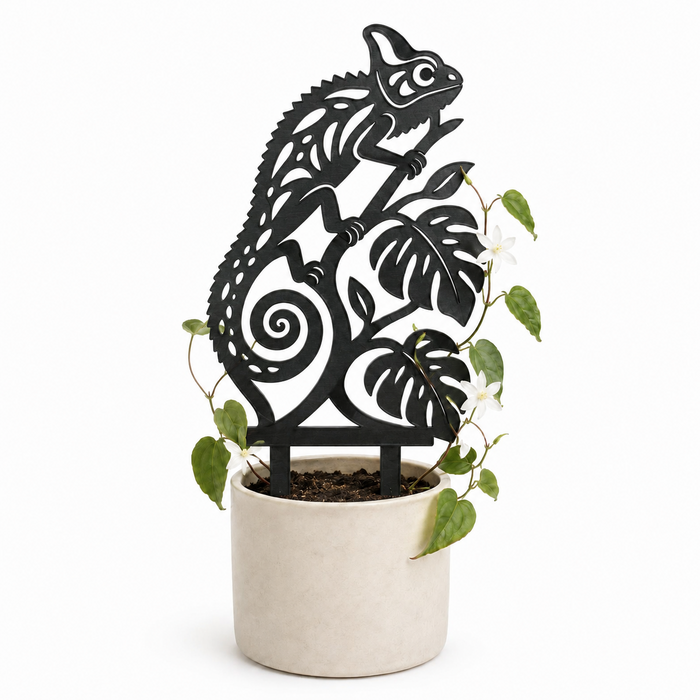 Kameo chameleon plant trellis in a cream planter supporting a flowering climbing vine