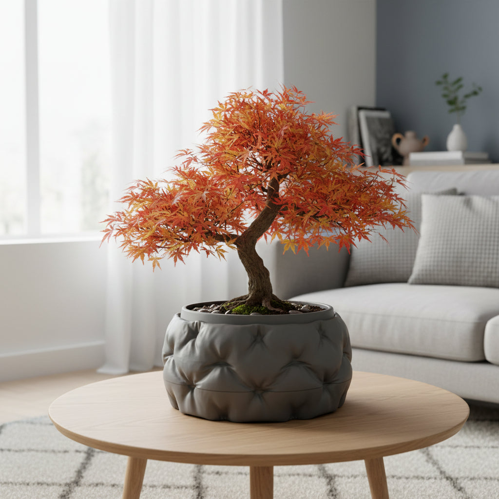 Kivu low rounded form with a sculpted padded texture bonsai planter, front view